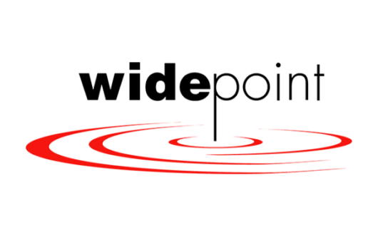 WidePoint